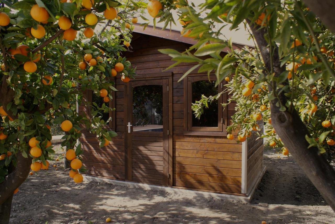 La Canota King Rooms Adults Only Talara Dış mekan fotoğraf