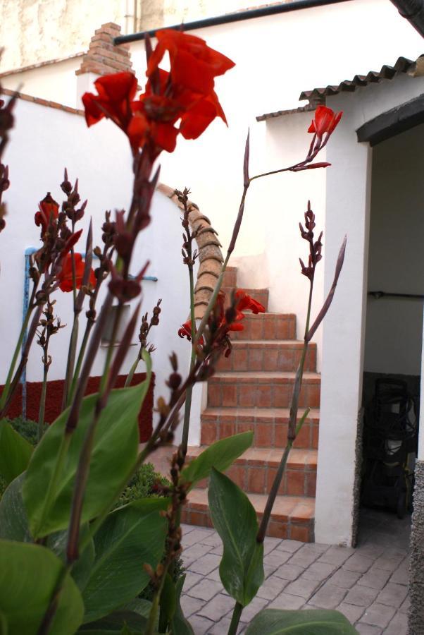 La Canota King Rooms Adults Only Talara Dış mekan fotoğraf