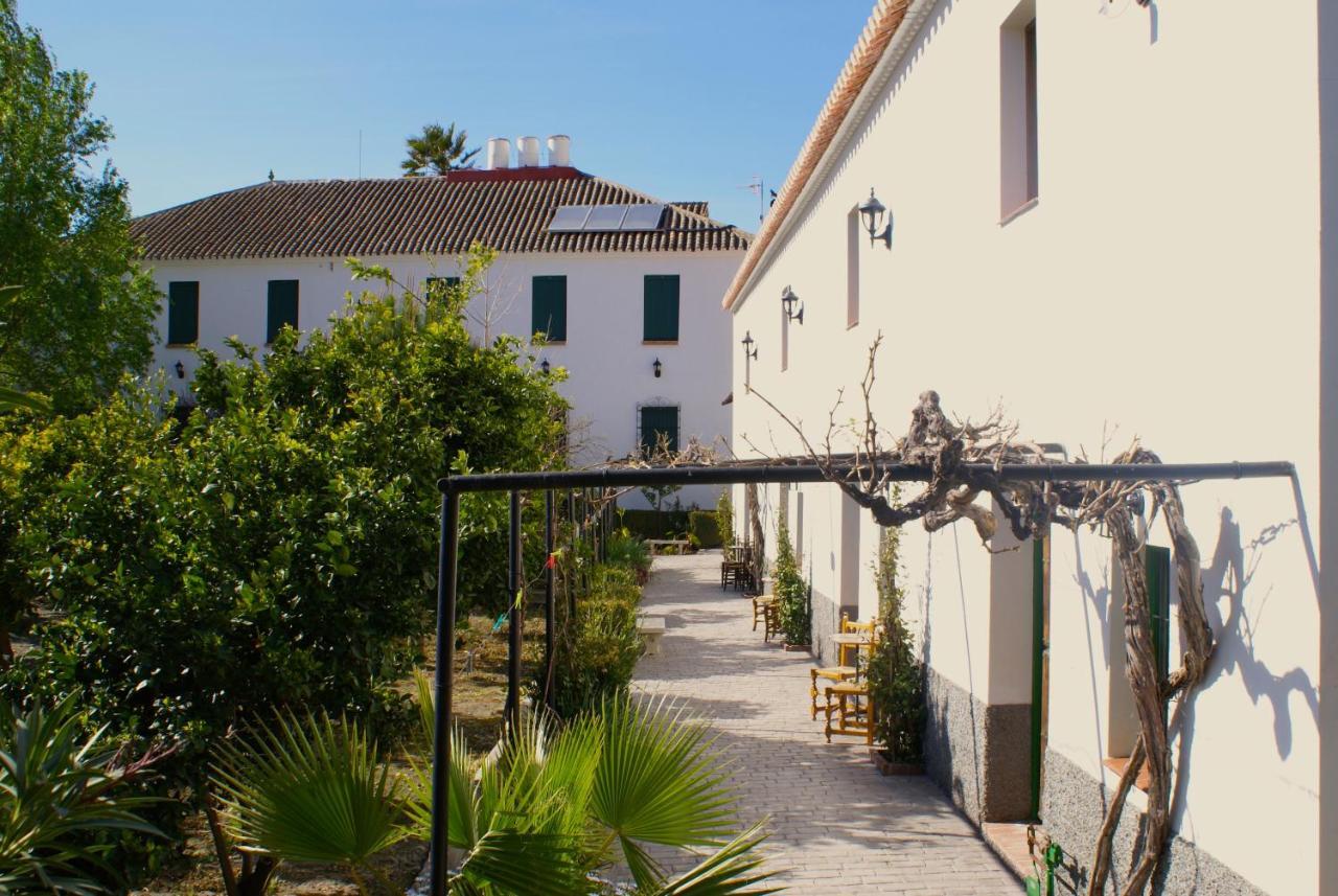 La Canota King Rooms Adults Only Talara Dış mekan fotoğraf