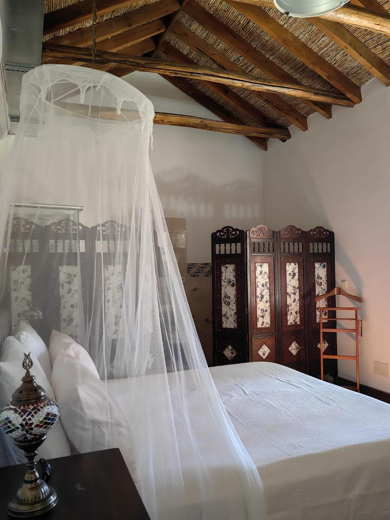 La Canota King Rooms Adults Only Talara Dış mekan fotoğraf